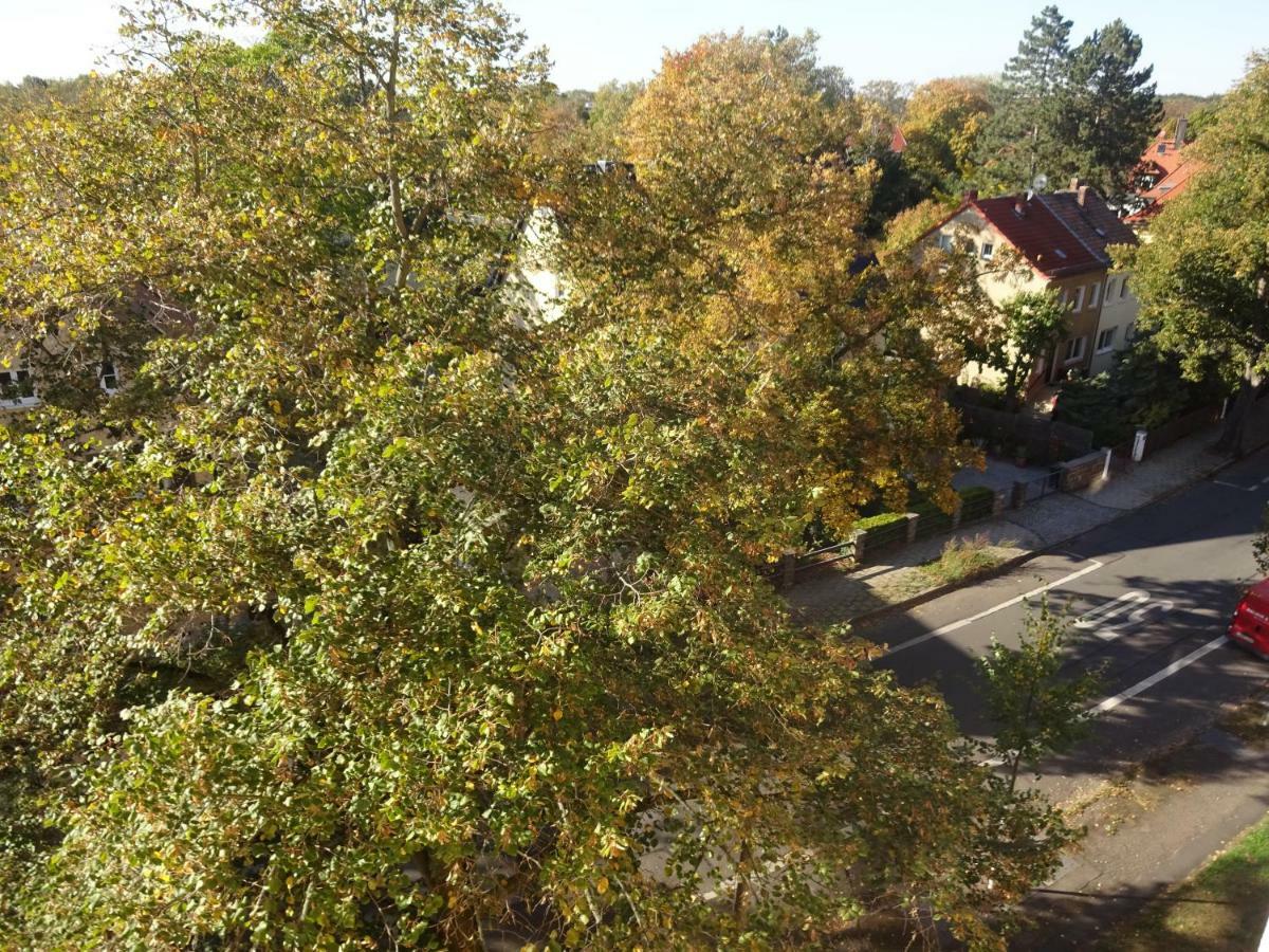 Apartment M - View *